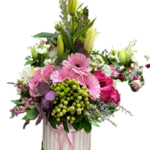 Box Arrangement